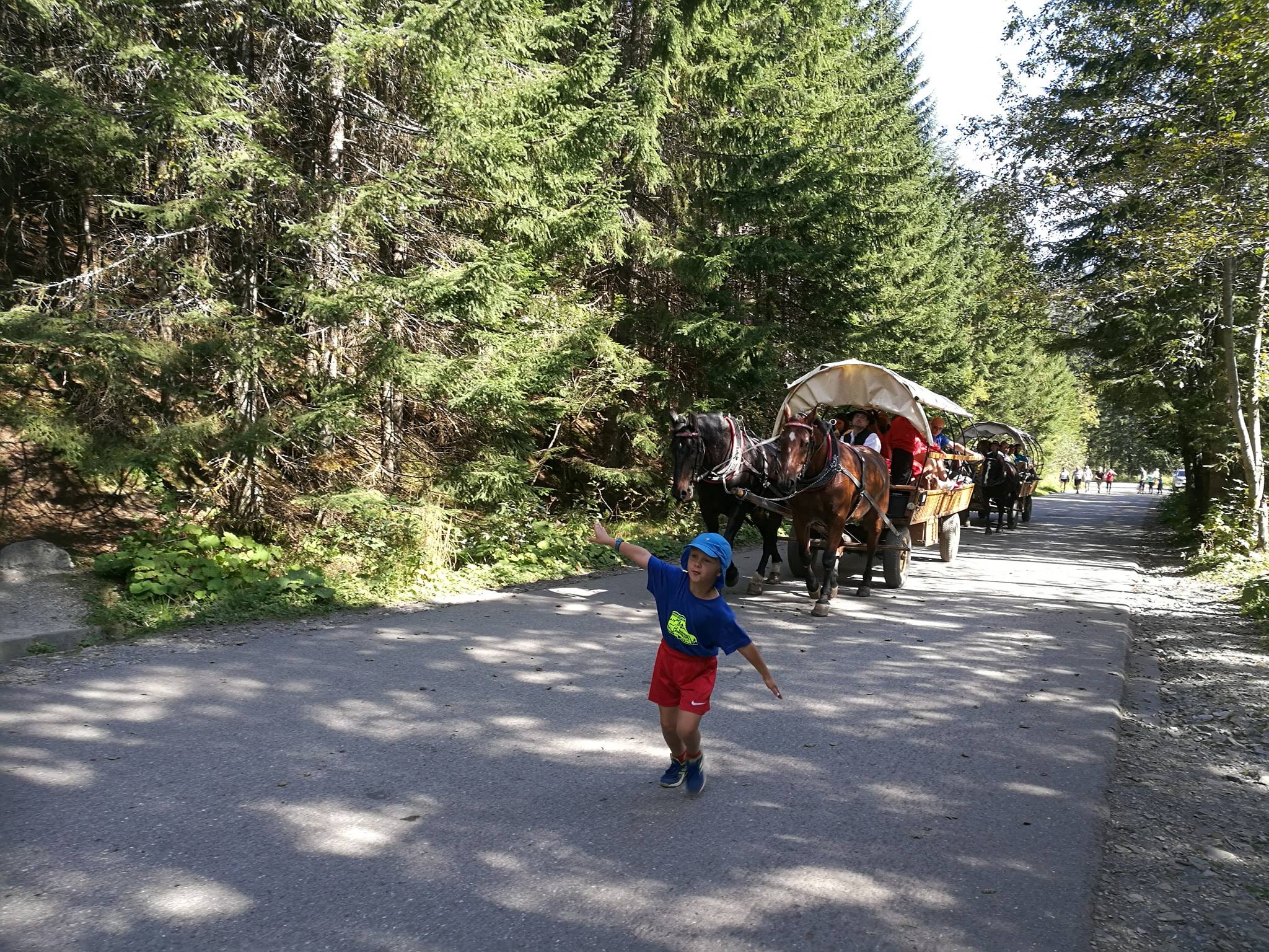 Biegiem nad Morskie Oko, czyli wyścig z konikami - zdjęcie 4