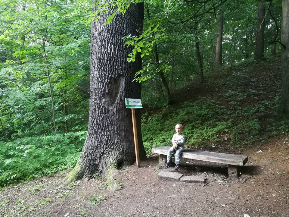 Deszczowa wyprawa na Perłę Zachodu - zdjęcie 4