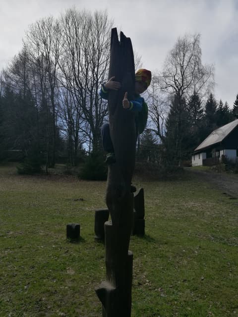 Leon wspina się na drewnianą rzeźbę-słup na polanie