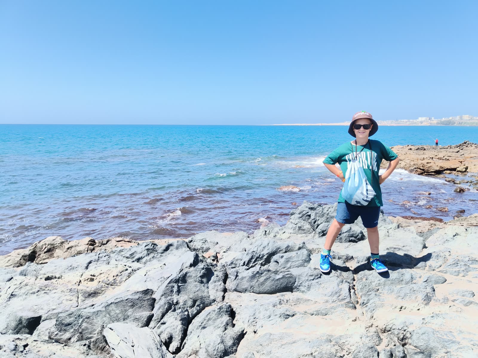 Leon na skalistym brzegu oceanu