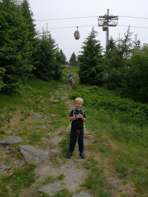 Leon na ścieżce pod gondolami kolei linowej na Stóg Izerski