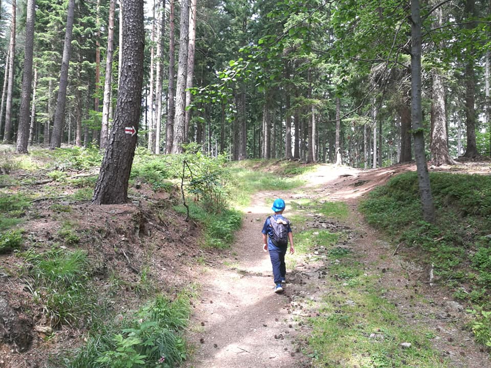 GSS odcinek 3: Dom Śląski - Mysłakowice, czyli z gór do pomnika szlaku - zdjęcie 19