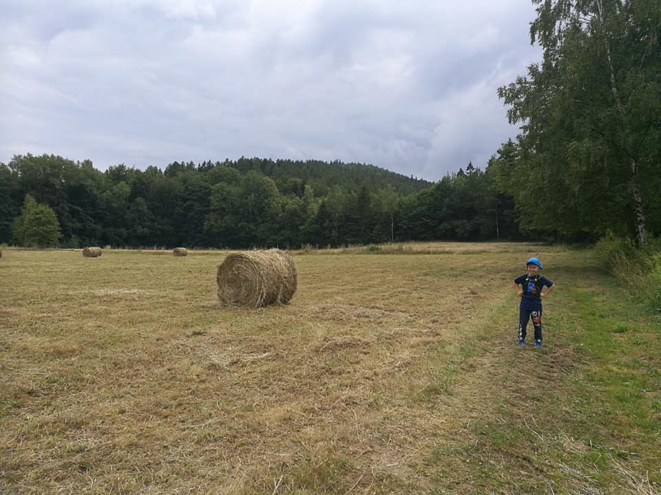 GSS odcinek 3: Dom Śląski - Mysłakowice, czyli z gór do pomnika szlaku - zdjęcie 24