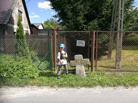 Leon przy kamiennym krzyżu pokutnym przy płocie