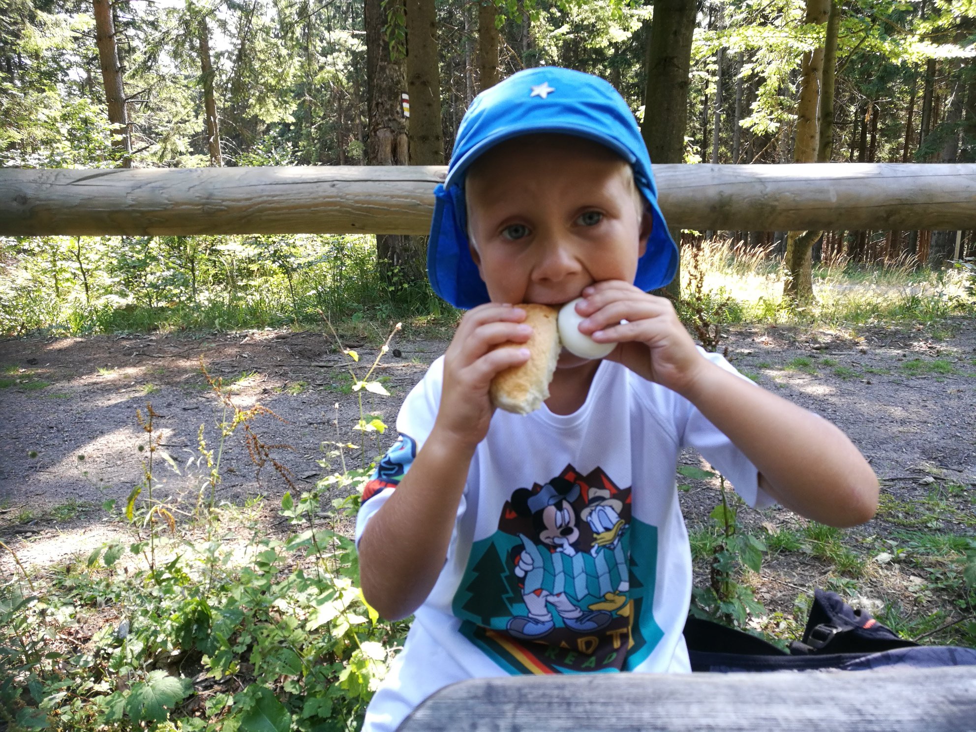 GSS odcinek 4: Mysłakowice - Skalnik - Szarocin - zdjęcie 15
