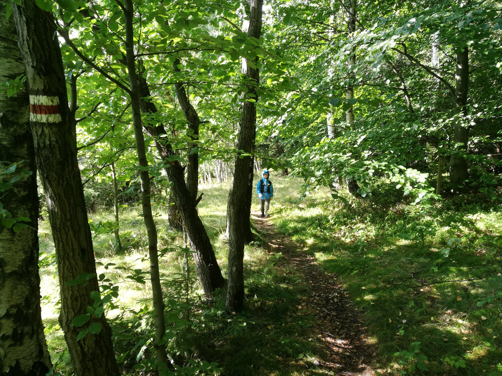 GSS odcinek 4: Mysłakowice - Skalnik - Szarocin - zdjęcie 20