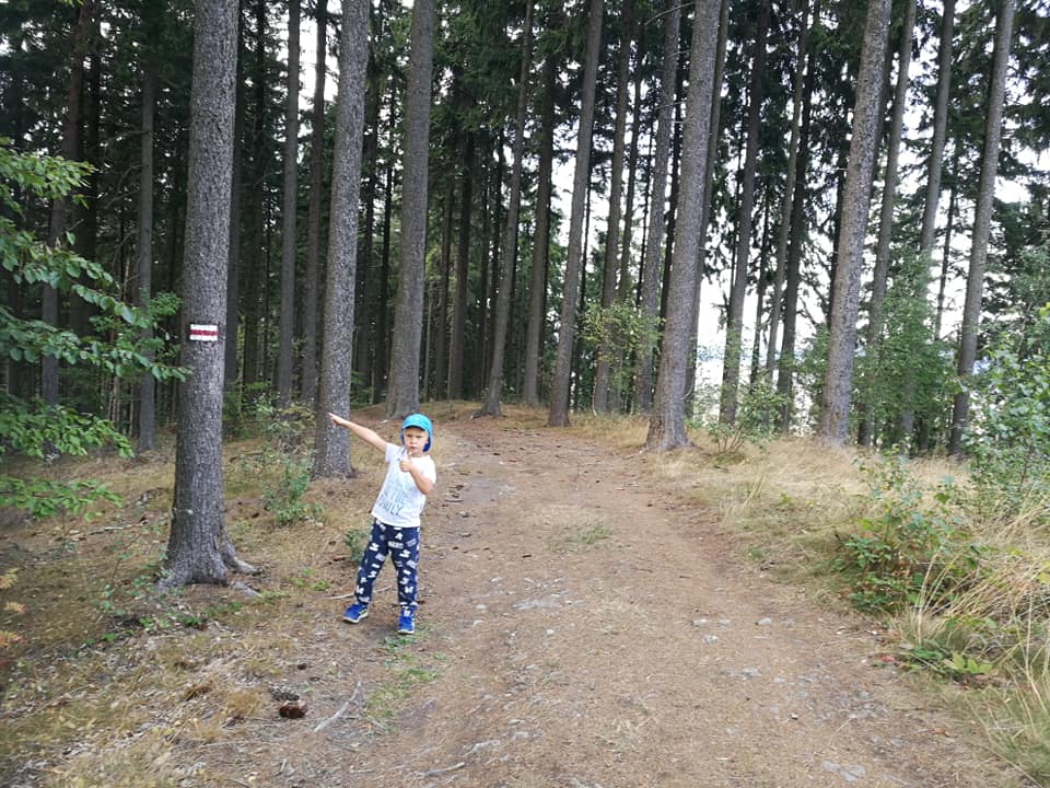 GSS odcinek 6: Krzeszów - Grzędy, czyli organy, wieża i punkciki do odznaki - zdjęcie 7