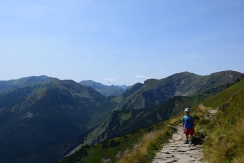 Leon na ścieżce nad tatrzańską doliną