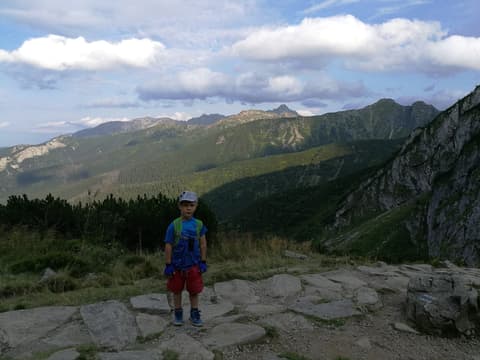 Leon na przełęczy, w tle panorama tatrzańskich szczytów