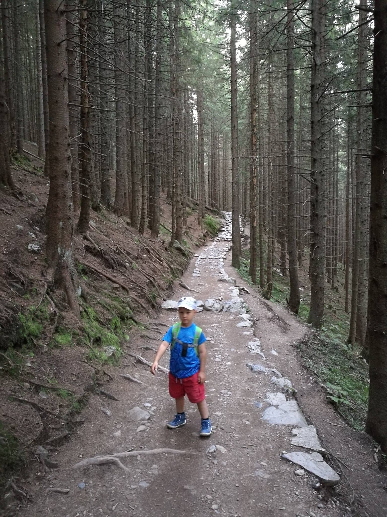 Kasprowy Wierch i Giewont, czyli grań ponad Zakopanem - zdjęcie 26