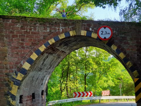 Leon na koronie ceglanego wiaduktu nad drogą