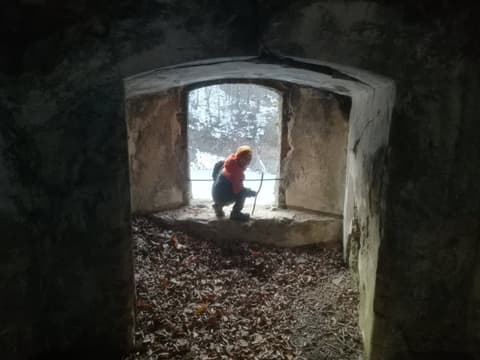 Leon w otworze betonowego schronu