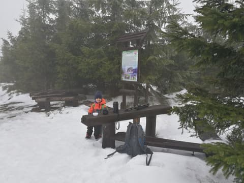Leon przy wiacie i tablicy w śnieżnej mgle