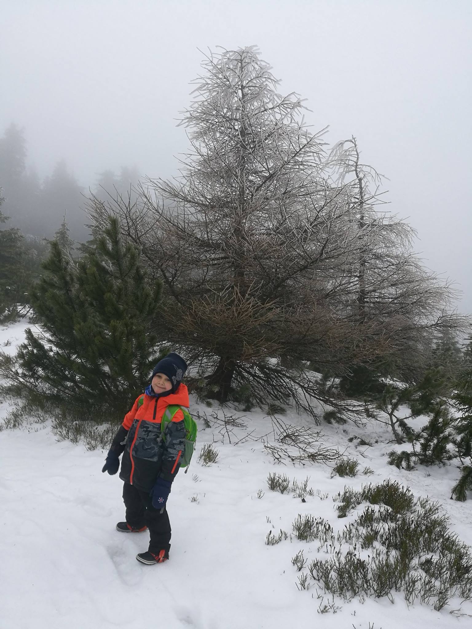 Mały Śnieżnik, Czarna Góra i dawna kopalnia uranu - zdjęcie 6