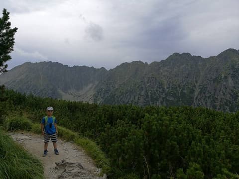 Leon na ścieżce wśród kosodrzewiny, w tle skalne granie
