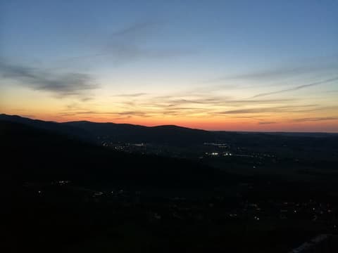 Leon na koncercie w zamkowej sali