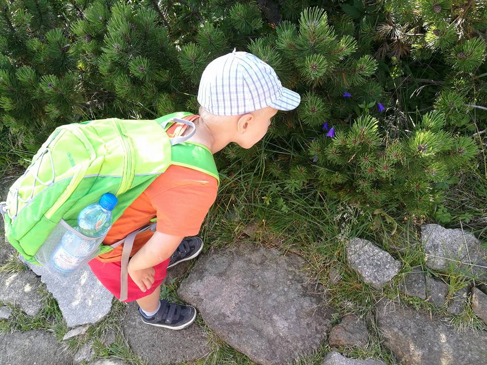 Nocna wyprawa na Śnieżkę z noclegiem w Domu Śląskim - zdjęcie 11