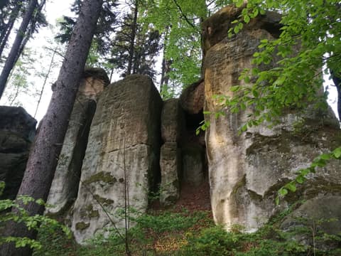 Piaskowcowe baszty Głazów Krasnoludków wśród drzew