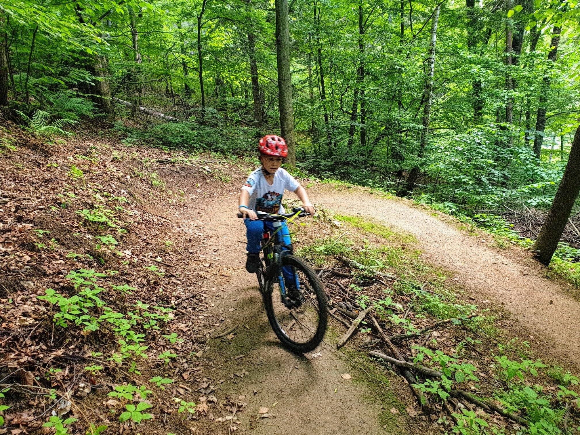 Pasmo Rowerowe Olbrzymy - zdjęcie z wyprawy