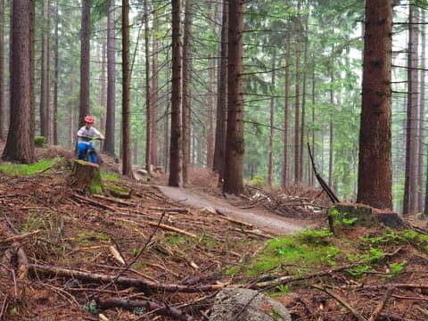 Leon jedzie rowerem po zboczu leśnego singletracka