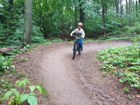 Leon pokonuje zakręt na leśnym singletracku