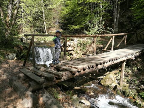 Leon na drewnianym mostku nad kaskadą górskiego potoku