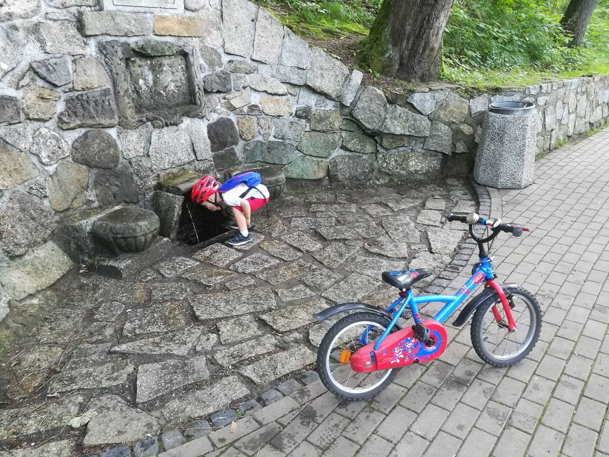 Rowerem na Perłę Zachodu i Wzgórze Krzywoustego - zdjęcie 6
