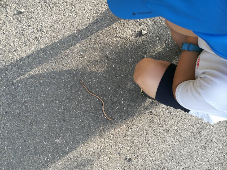 Sępia Góra, zamknięta kopalnia i padalec na szlaku - zdjęcie 8