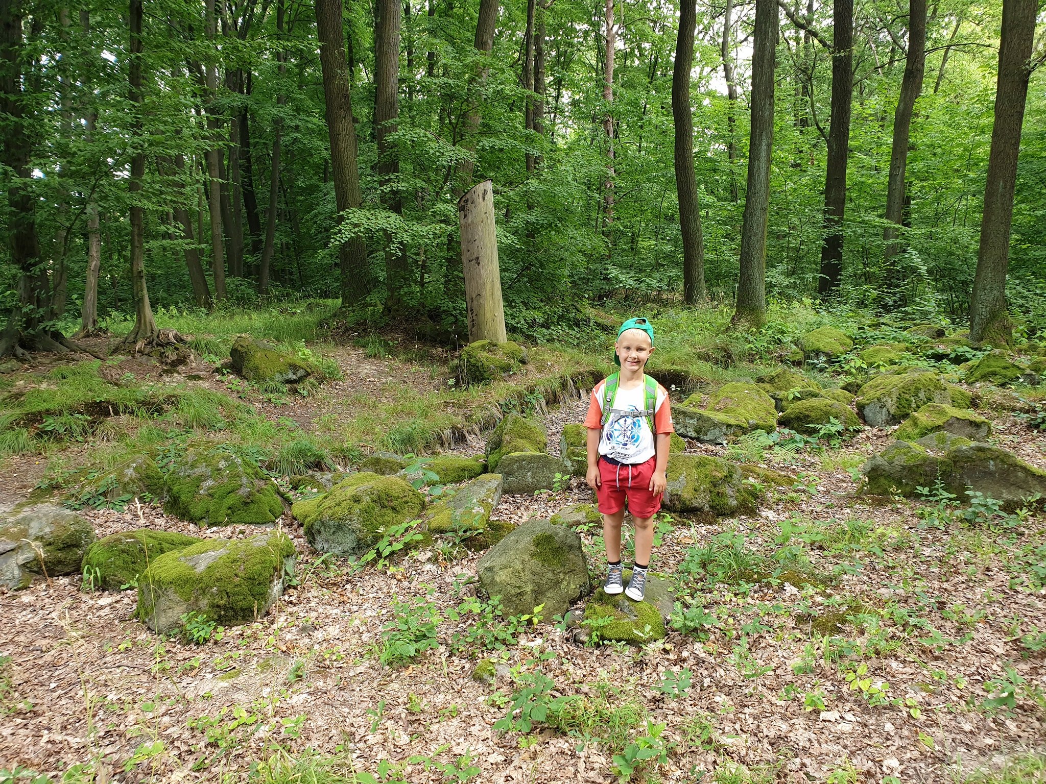 Ślęża szlakiem archeologicznym: skansen, krąg kamienny i kurhany - zdjęcie 4