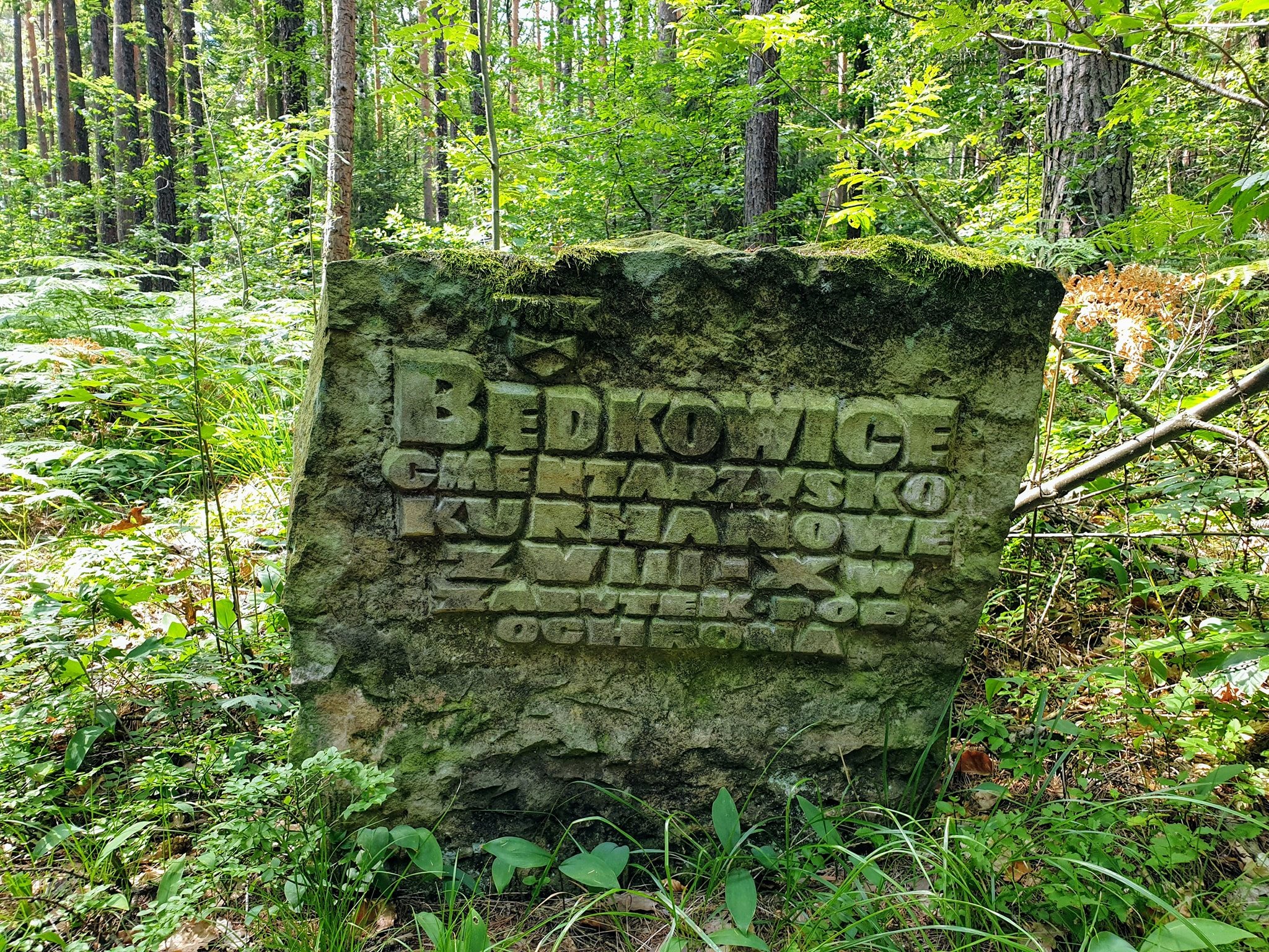 Ślęża szlakiem archeologicznym: skansen, krąg kamienny i kurhany - zdjęcie 7