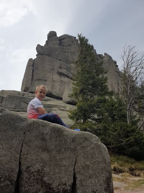 Leon na głazie pod granitowymi skałami Słonecznika