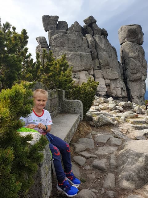 Leon na kamiennej ławie pod skałami Słonecznika