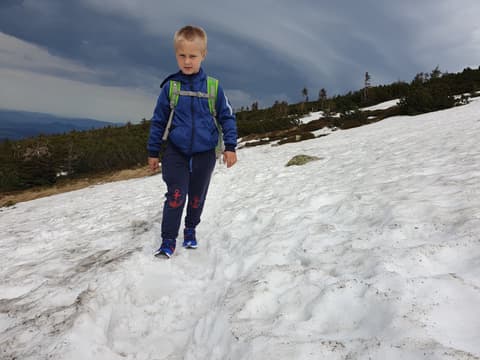 Leon idzie po topniejącym śniegu