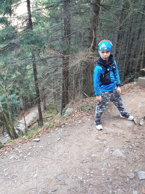 Leon na ścieżce nad leśnym potokiem