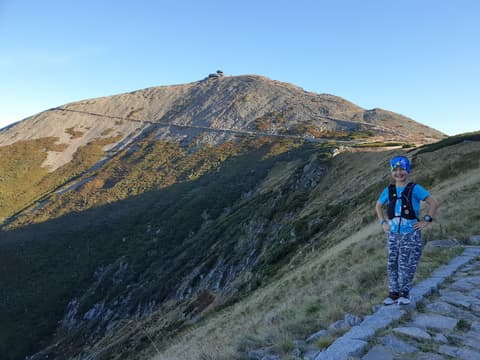 Leon na brukowanej drodze, w tle stożek Śnieżki
