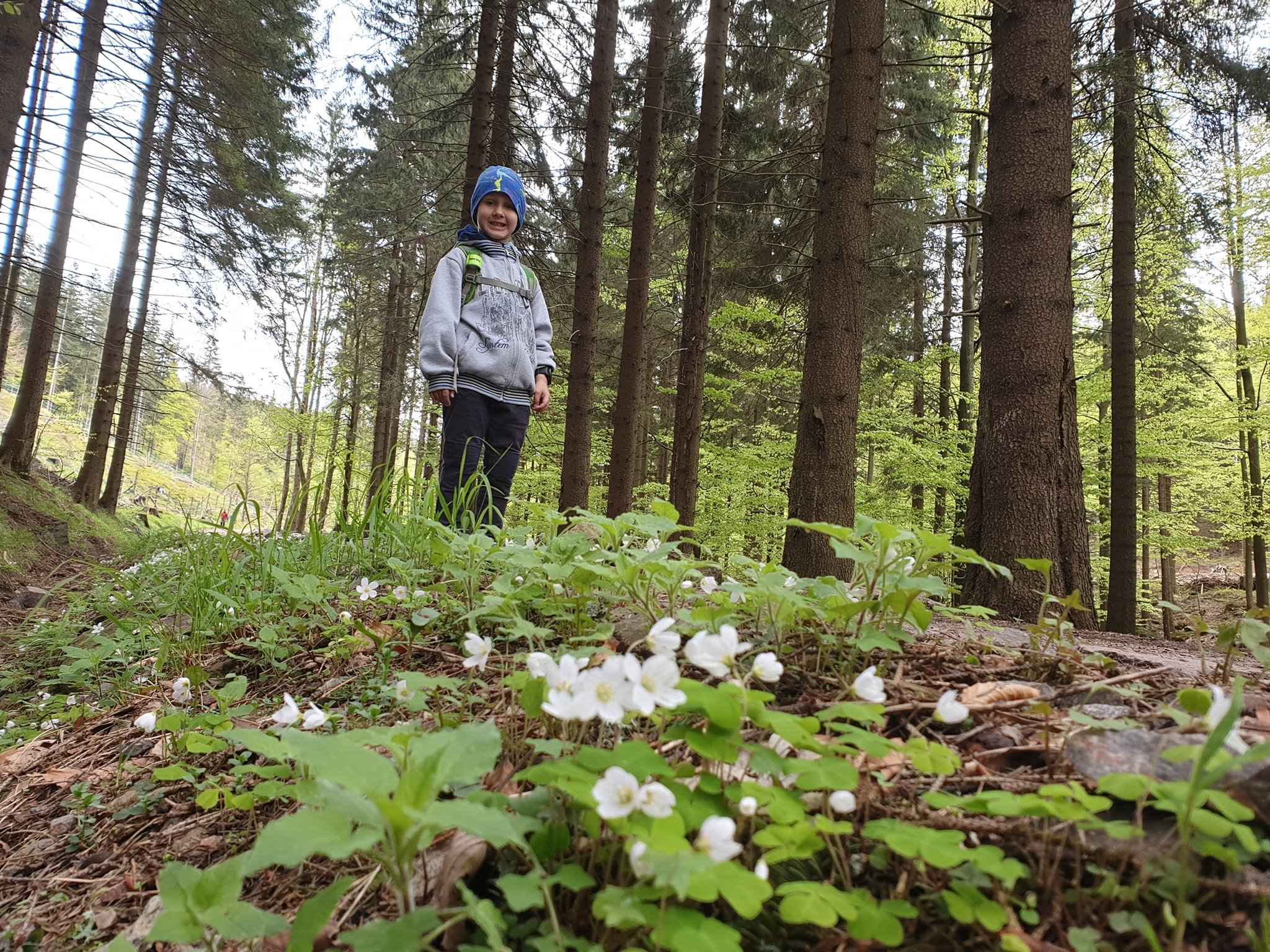 Śnieżnik, Wodospad Wilczki i sanktuarium na Iglicznej - zdjęcie 13