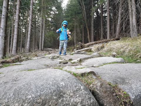 Leon z pluszakiem schodzi kamienistą drogą