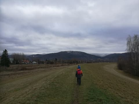 Leon idzie polną drogą, w tle wzgórze z zamkiem Chojnik
