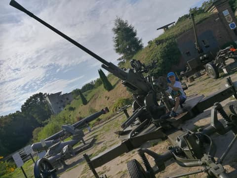 Leon na dziale przeciwlotniczym w skansenie fortu