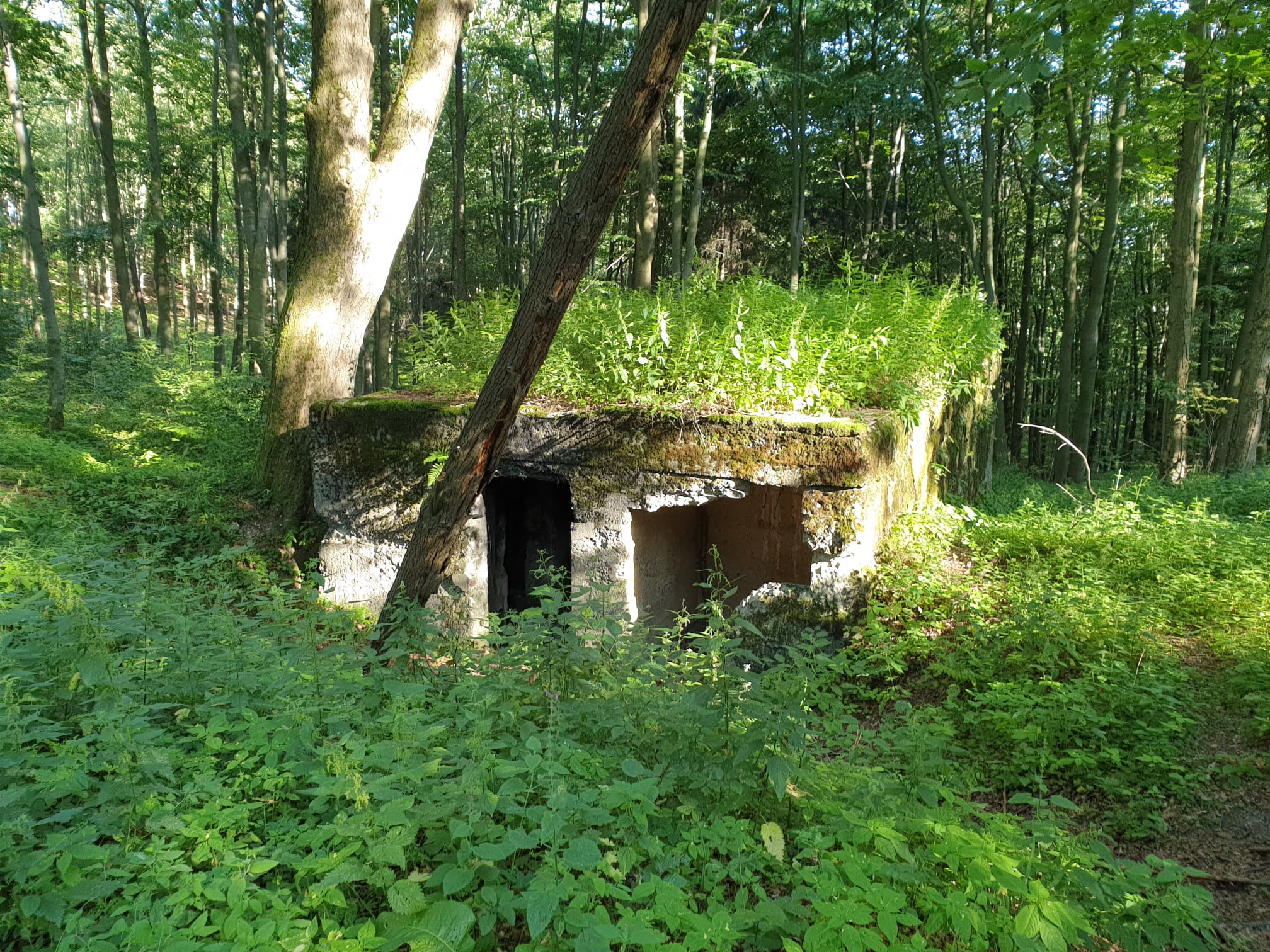 Szlak Martyrologii w Górach Sowich - zdjęcie 31