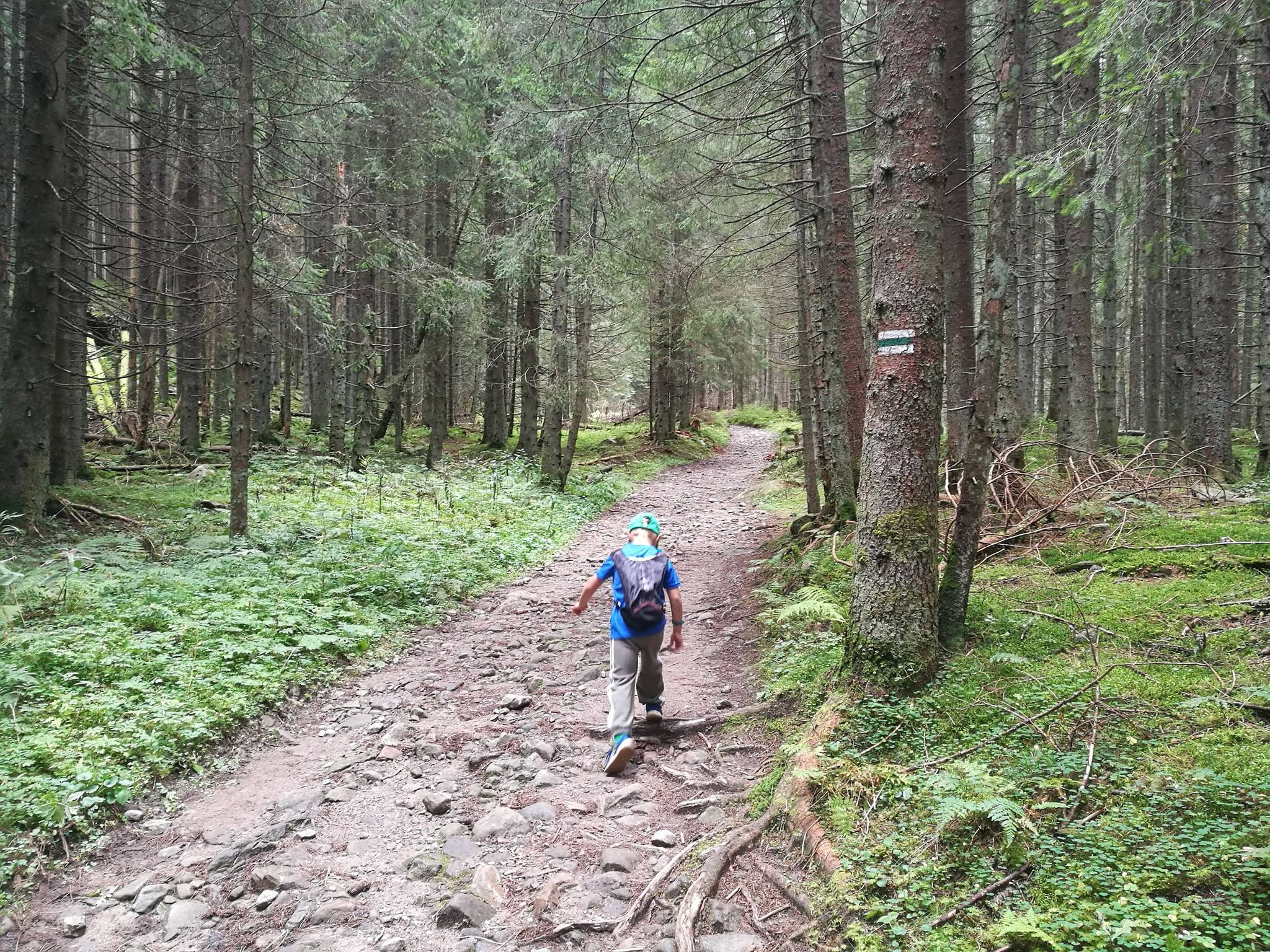 Tatry Zachodnie: Jaskinia Mroźna, Czerwone Wierchy i pięć dwutysięczników - zdjęcie 11
