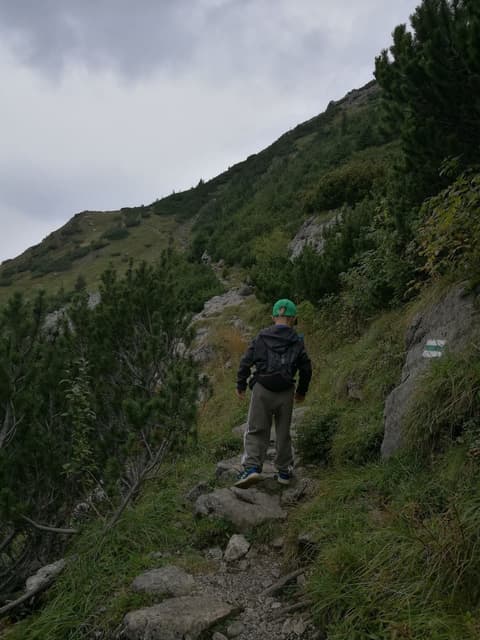 Leon podchodzi ścieżką wśród kosodrzewiny