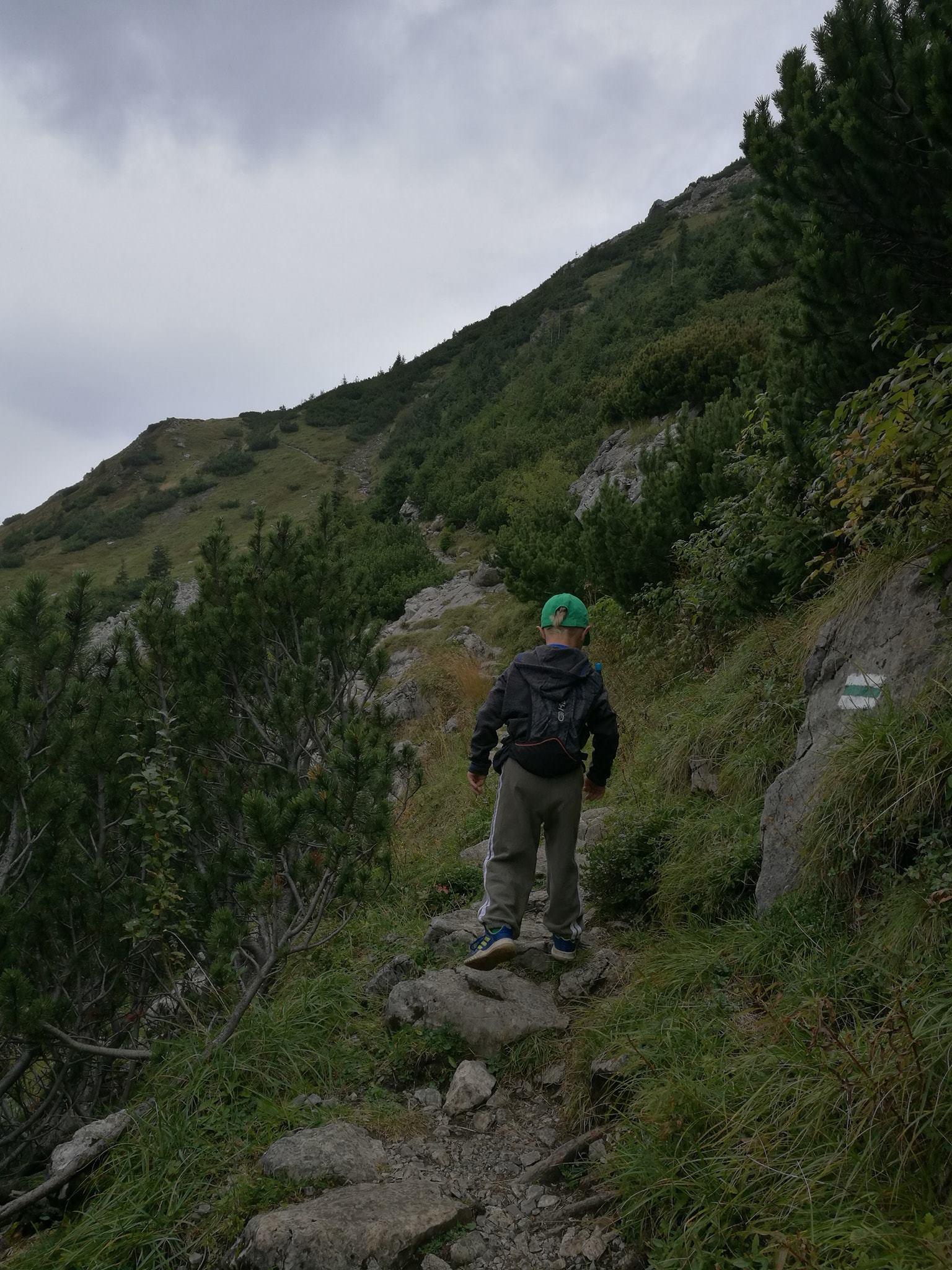 Tatry Zachodnie: Jaskinia Mroźna, Czerwone Wierchy i pięć dwutysięczników - zdjęcie 12
