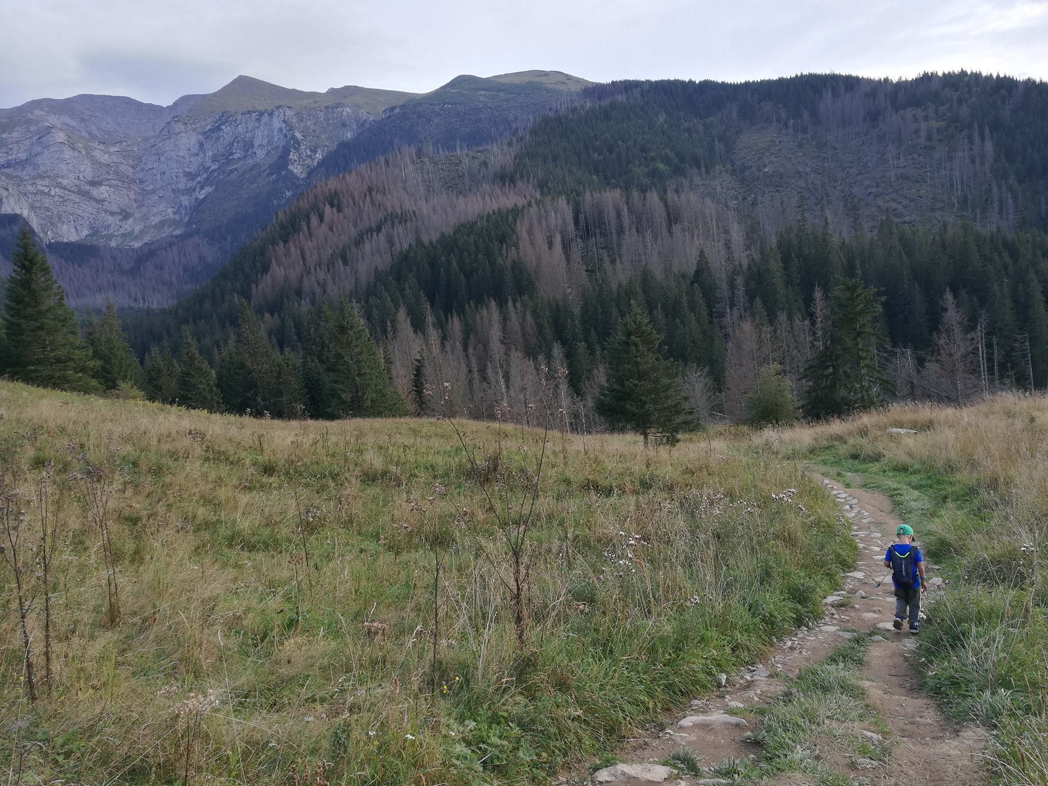 Tatry Zachodnie: Jaskinia Mroźna, Czerwone Wierchy i pięć dwutysięczników - zdjęcie 32
