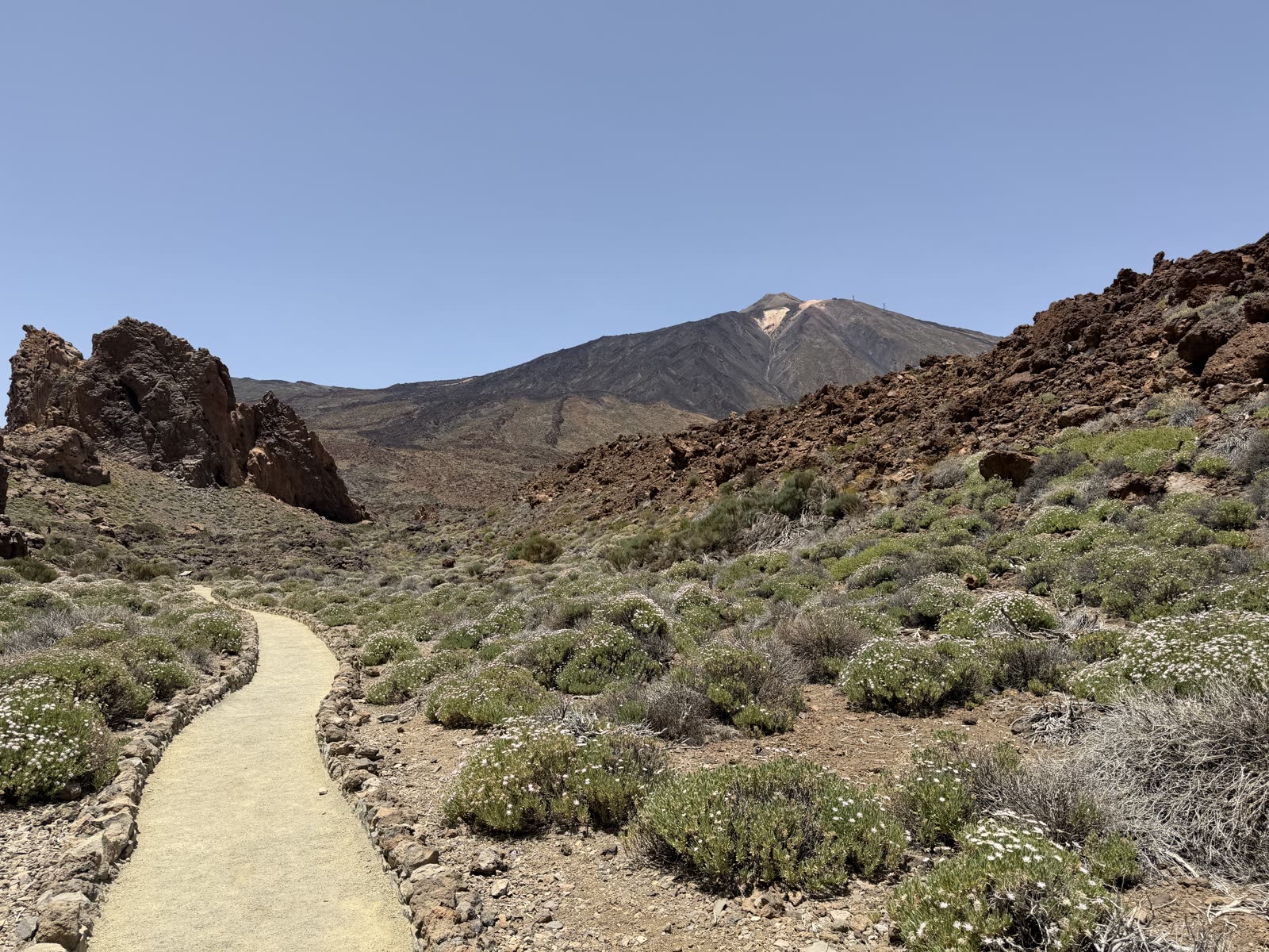Wydeptana ścieżka wśród niskich krzewów, w tle Teide