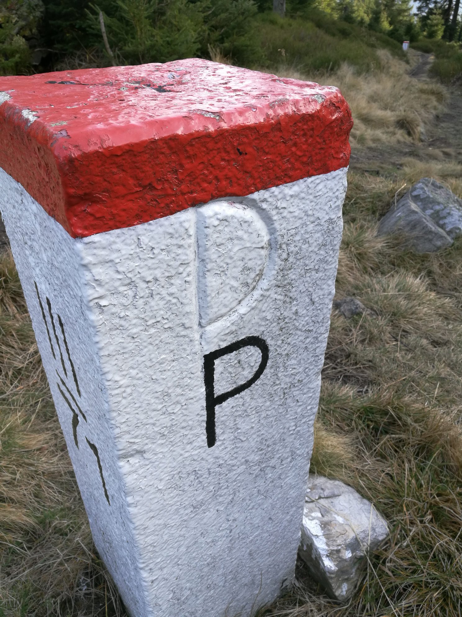 Trójmorski Wierch i Śnieżnik - zdjęcie z wyprawy