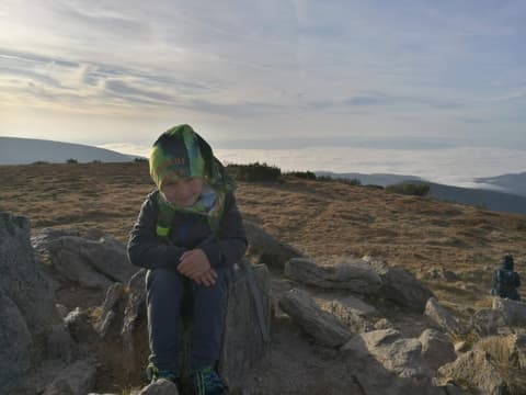Leon siedzi na skale nad morzem chmur