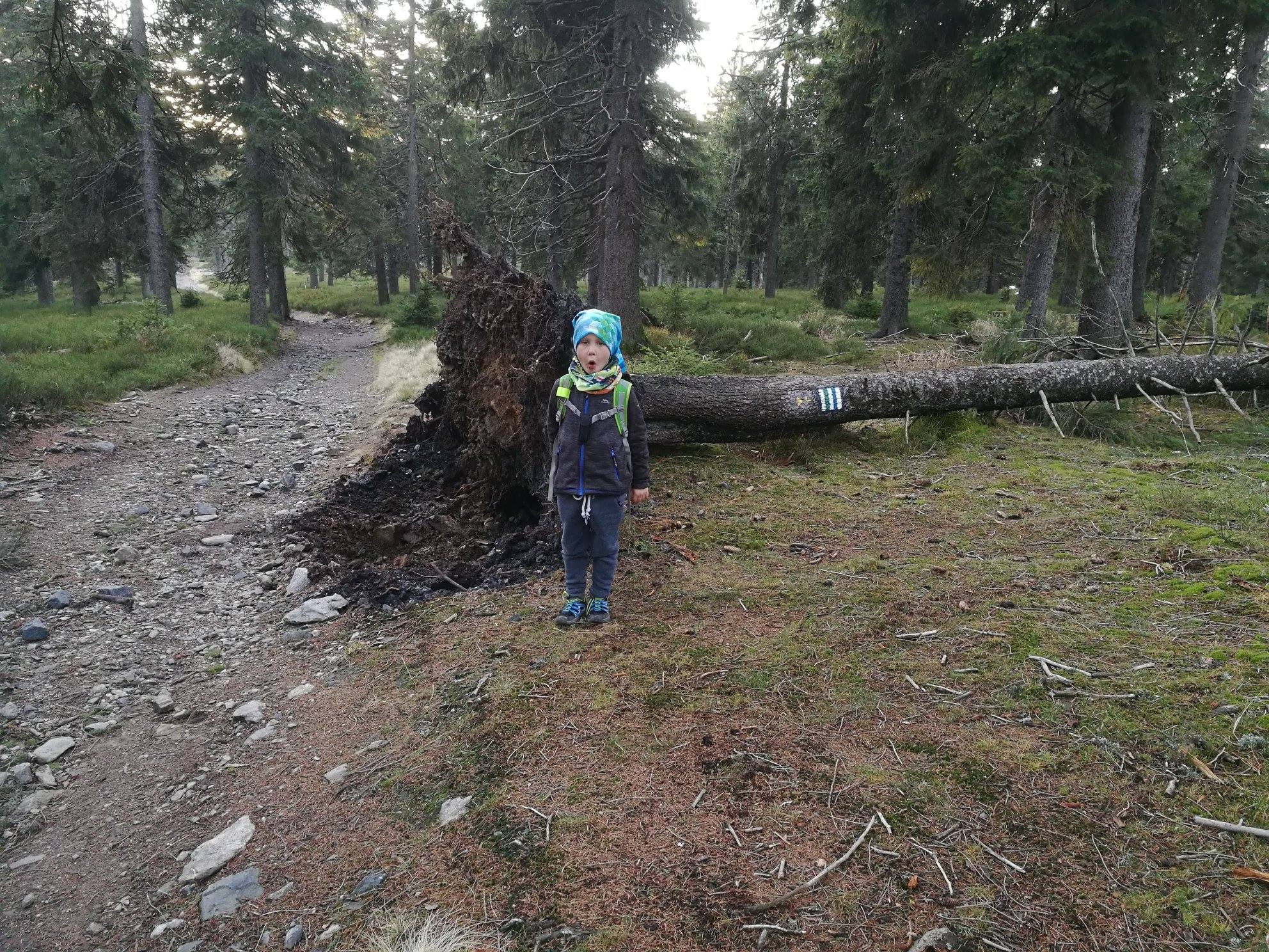 Trójmorski Wierch i Śnieżnik, czyli góra trzech mórz i przekute słupki - zdjęcie 18