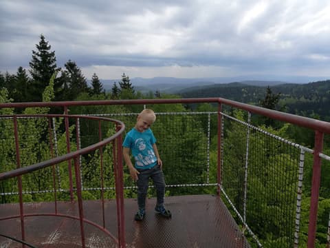 Leon na platformie wieży, w tle faliste wzgórza
