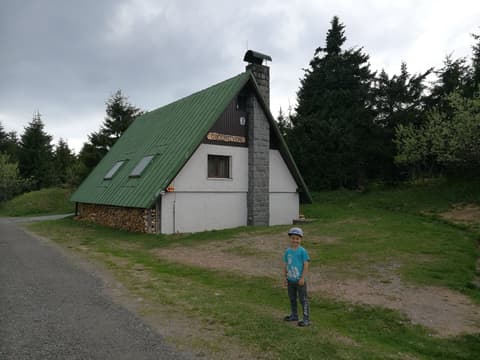 Leon przed domkiem z zielonym dachem i stosem drewna